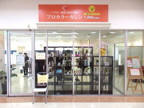 プロカラーカレン