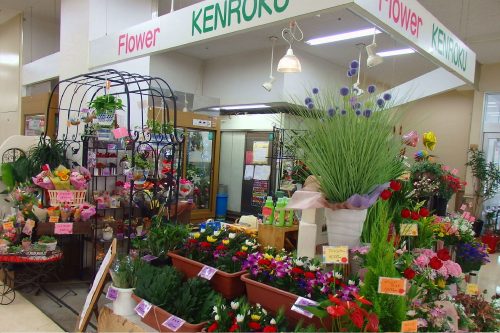 フラワーKENROKU